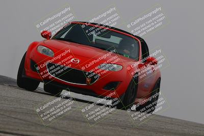 media/Nov-28-2025-Speed SF (Fri) [[b9fcb3577c]]/Blue/Session 2 (Grapevine)/